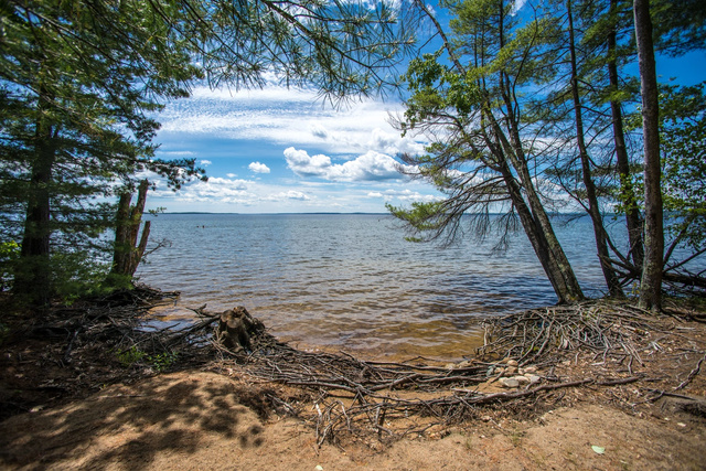Family & Friends Camping campground near Sebago Lake
