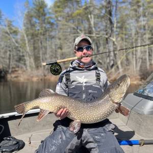 Sebago Lake recent catch: Northern Pike