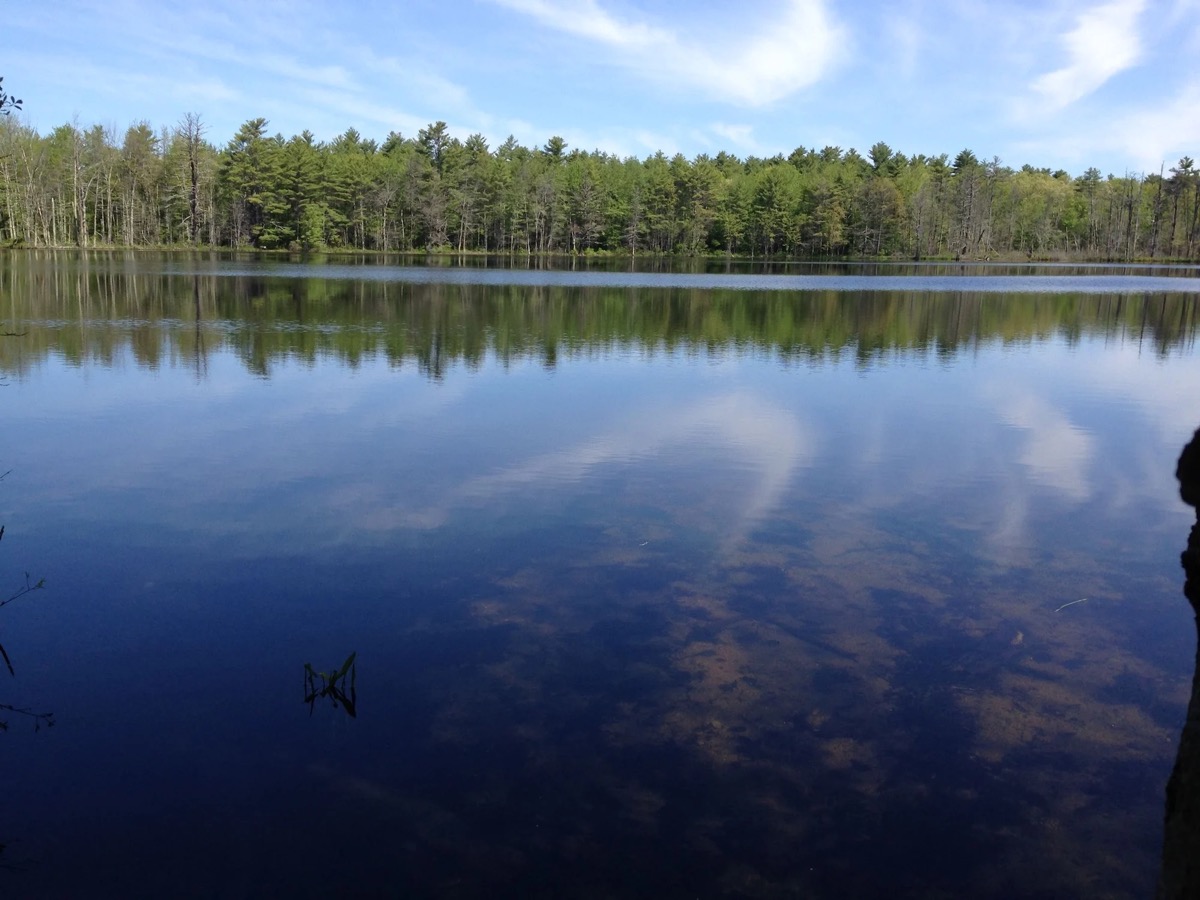 Windham Area Guide