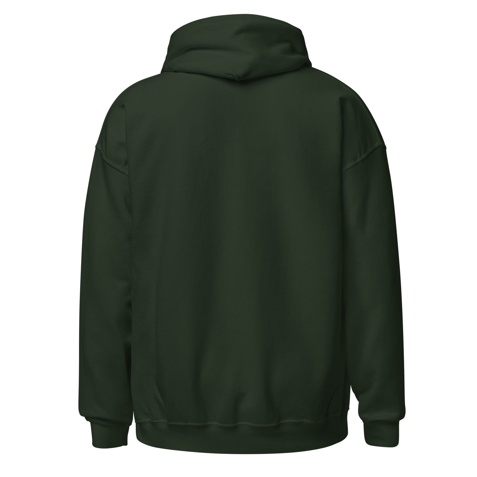 Sebago Lake Coordinates & Paddles Pullover Hoodie - Image 5