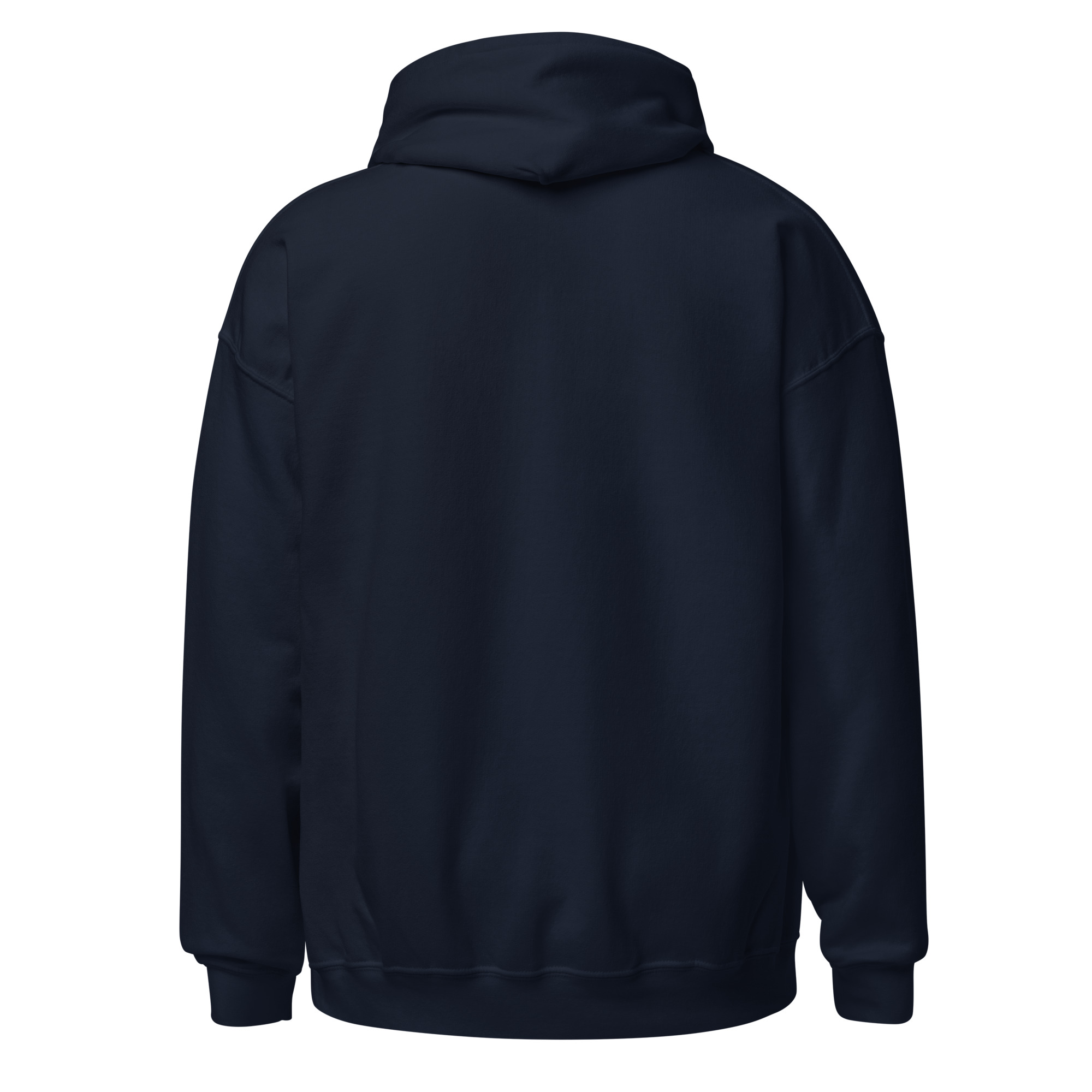 Sebago Lake Coordinates & Paddles Pullover Hoodie - Image 4