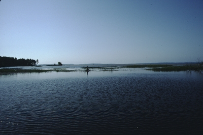 Shallow water at the mouth of the Songo River in 1993.